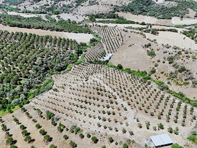 Karacaören, Kepsut içerisinde satılık Arsa