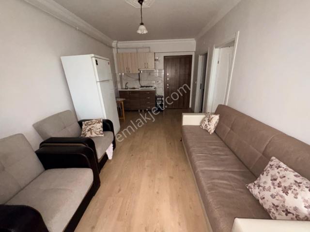 Edirne Merkez, Edirne içerisinde kiralık mülk