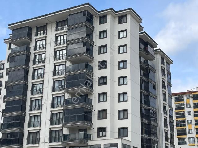 Edirne Merkez, Edirne içerisinde kiralık mülk