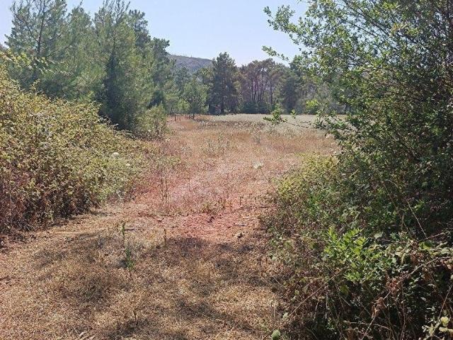 Marmaris, Muğla içerisinde satılık Arsa