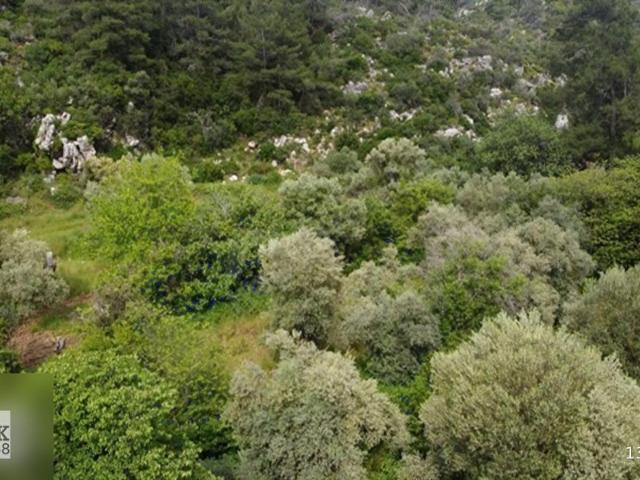 Marmaris, Muğla içerisinde satılık Arsa