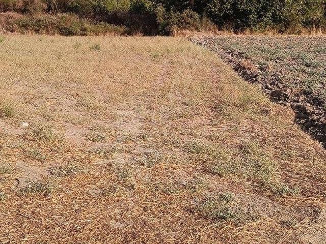 Marmaris, Muğla içerisinde satılık Arsa