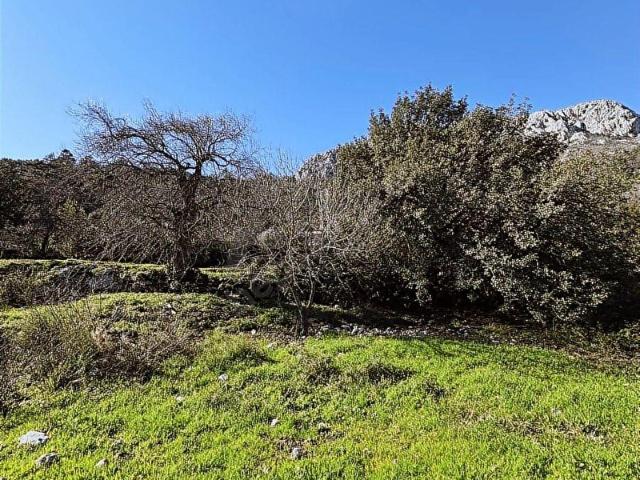 Marmaris, Muğla içerisinde satılık Arsa