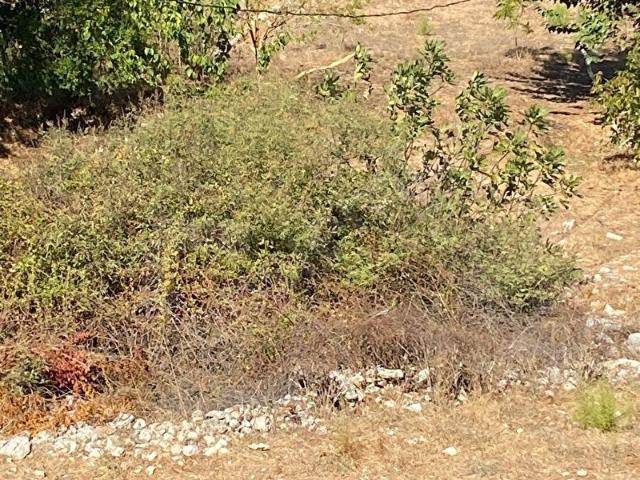 Marmaris, Muğla içerisinde satılık Arsa