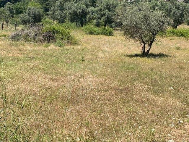 Marmaris, Muğla içerisinde satılık mülk