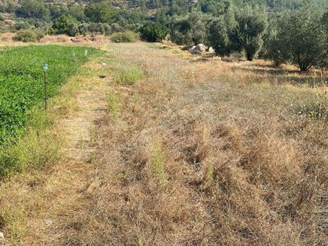 Marmaris, Muğla içerisinde satılık Arsa