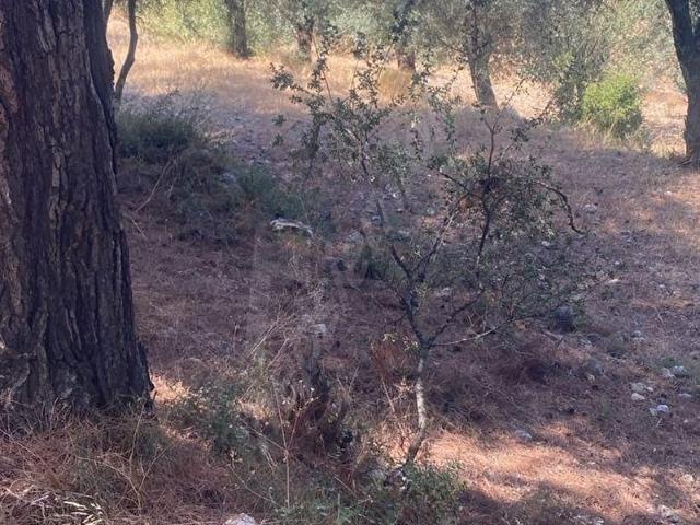 Marmaris, Muğla içerisinde satılık Arsa