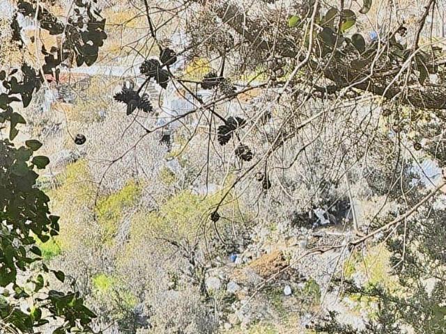 Marmaris, Muğla içerisinde satılık Arsa