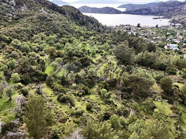 Marmaris, Muğla içerisinde satılık Arsa