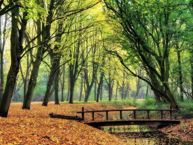 Appartement te huur in Amstelveen, Noord Holland