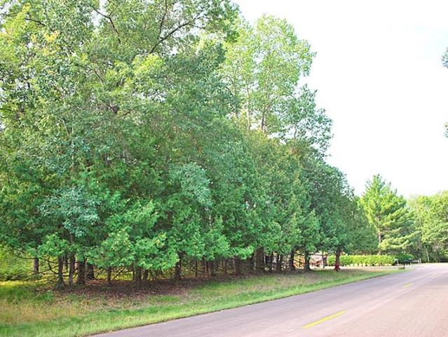 Land for sale in Baxter, Minnesota