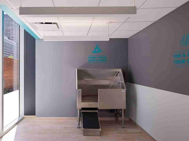 Apartment for rent in Chicago Park, Illinois