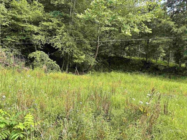 Land for sale in Tunnelton, West Virginia