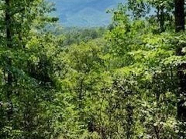 Land for sale in Bryson City, North Carolina