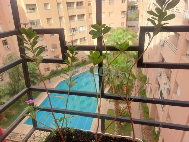 Appartement vente à L'Oriental
