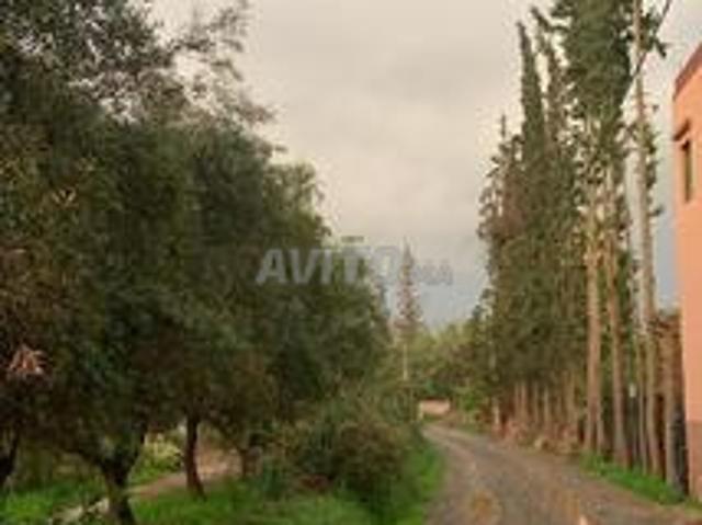 Propriété vente à Al Haouz, L'Oriental
