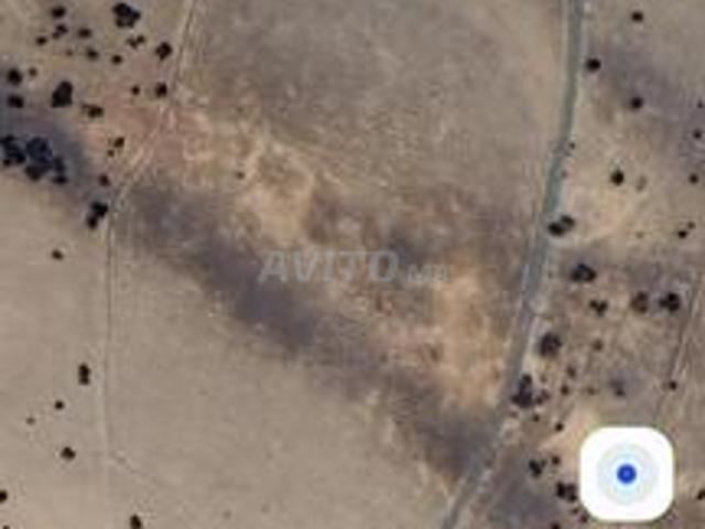 Propriété vente à Ben Guerir ⴱⴰⵏⴳⵔⵉⵔ ابن جرير, Province de Rhamna إقليم الرحامنة