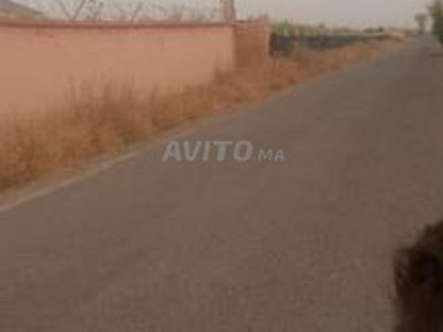 Propriété vente à Essaouira, L'Oriental