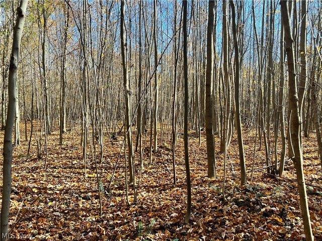Land for sale in Dorset, Ohio