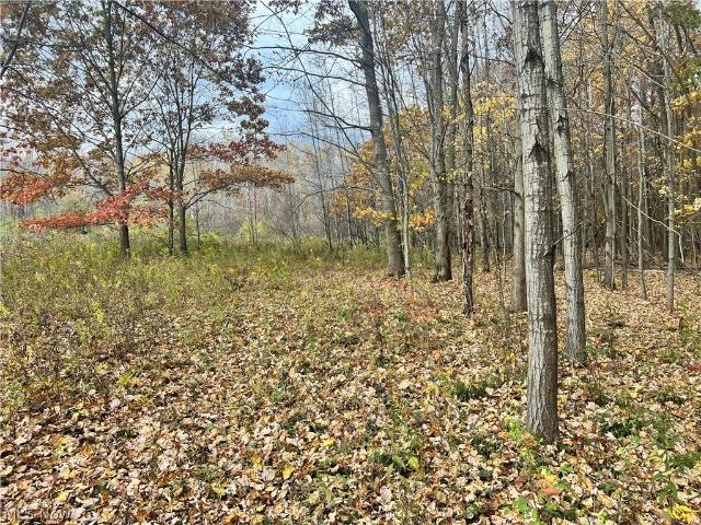 Land for sale in Dorset, Ohio
