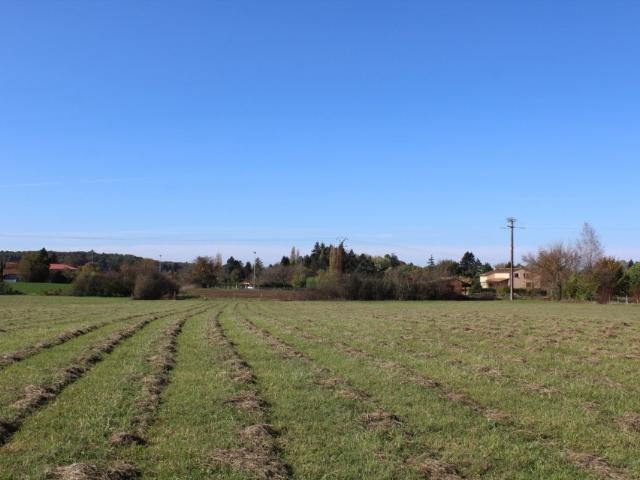 Terrain vente à Marsalès, Dordogne