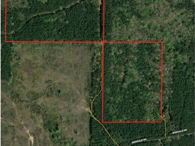 Land for sale in Homer, Louisiana