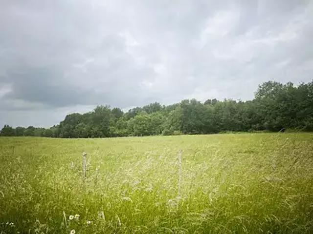 Terrain vente à France métropolitaine, Marsas
