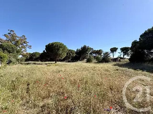 Terrain vente à Montpellier, Marseillan