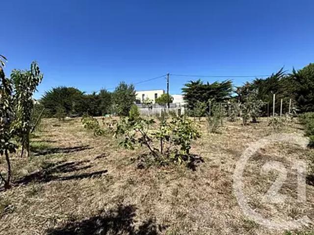 Terrain vente à Montpellier, Marseillan