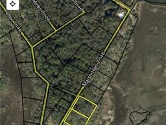Land for sale in Darien, McIntosh County