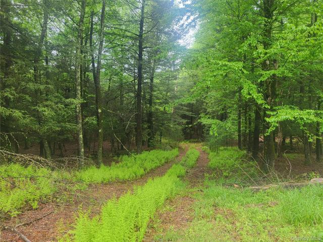 Land for sale in Fallsburg, New York