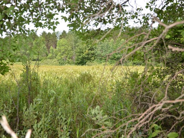 Land for sale in Michigan