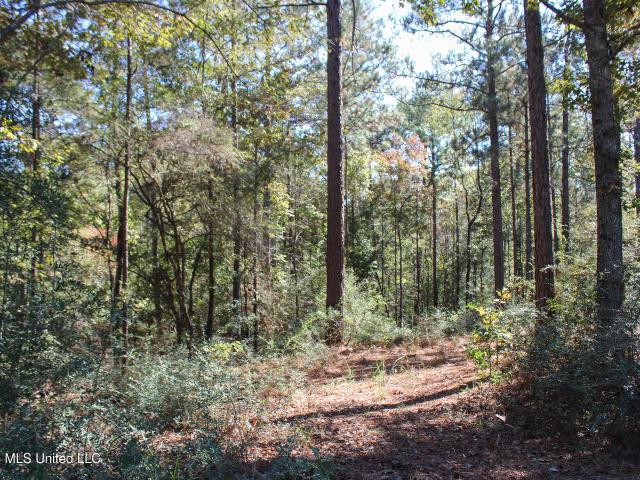 Land for sale in Petal, Mississippi
