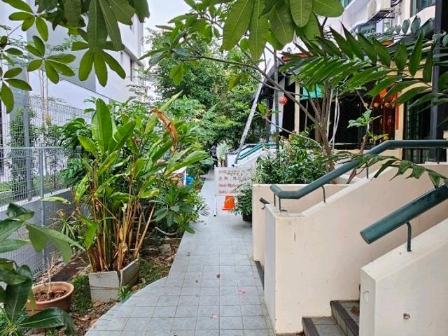House for rent
