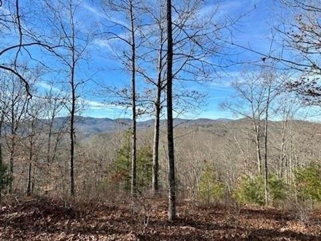 Land for sale in Marshall, North Carolina