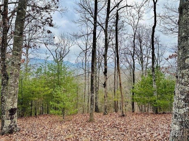 Land for sale in Marshall, North Carolina