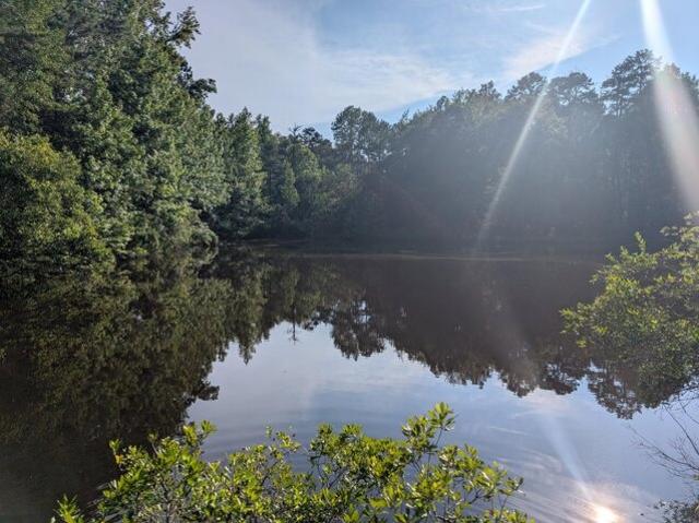 Land for sale in Appling Land for sale in Appling