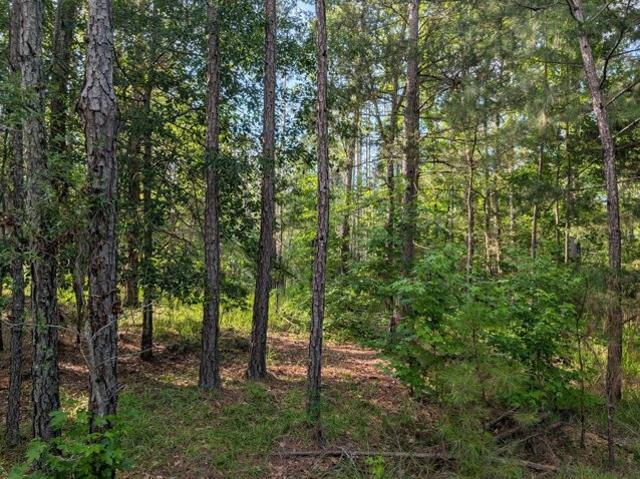 Land for sale in Appling Land for sale in Appling
