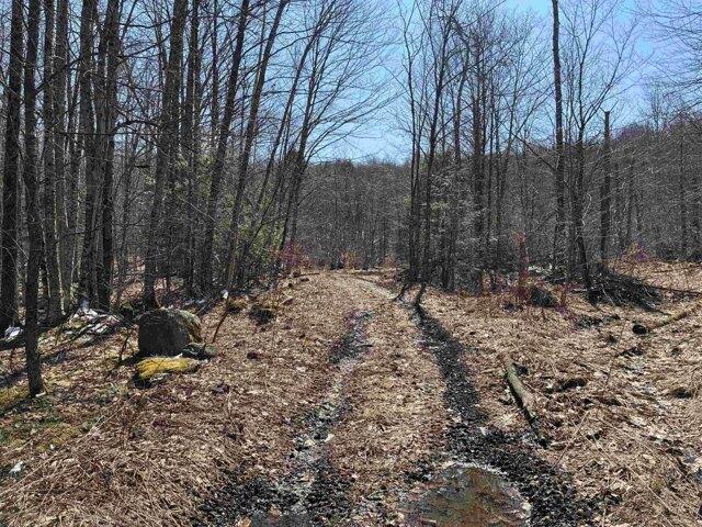 Land for sale in Duxbury, Washington County
