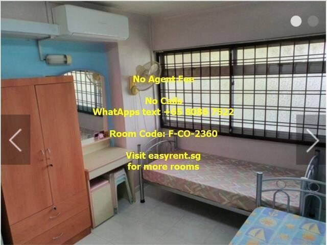 Room for rent