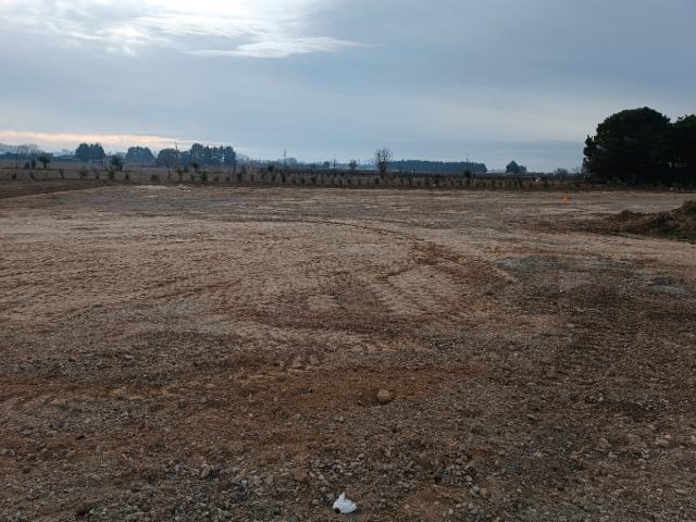 Terrain vente à Montpellier, Marsillargues