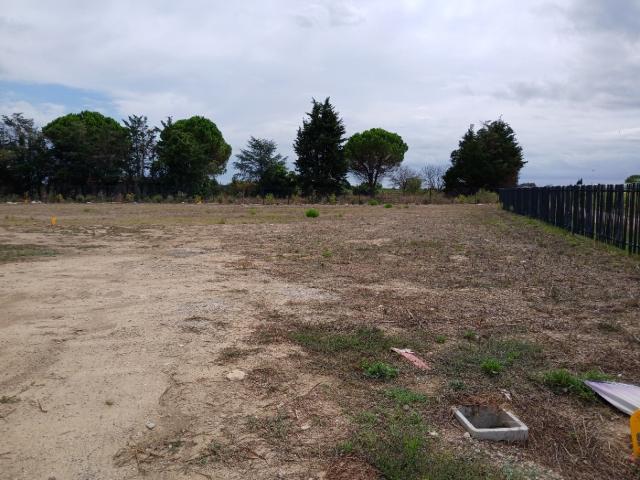 Terrain vente à Montpellier, Marsillargues
