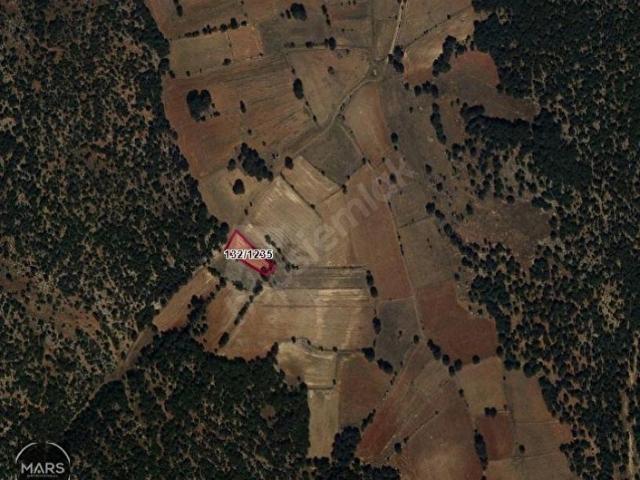 Yenice, Kütahya Merkez içerisinde satılık Arsa