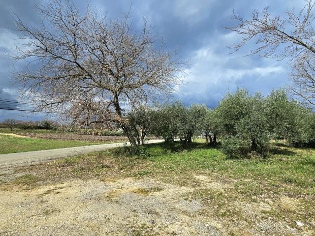 Terrain vente à Alès, Martignargues