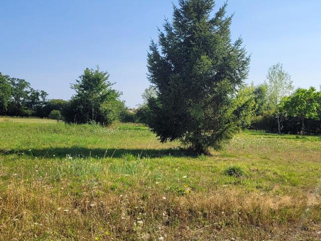 Terrain vente à Martigné-Ferchaud, Ille-et-Vilaine