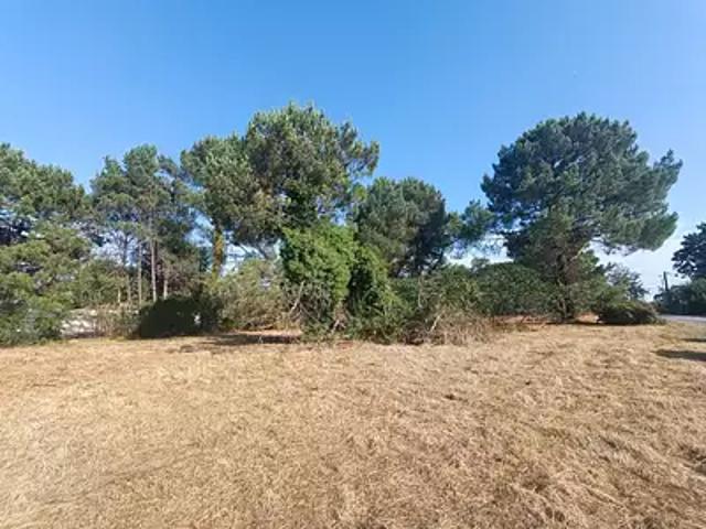 Terrain vente à Bordeaux, Martillac