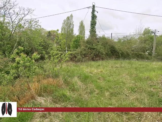 Terrain vente à Bordeaux, Martillac
