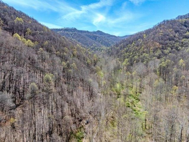 Land for sale in Naoma, West Virginia