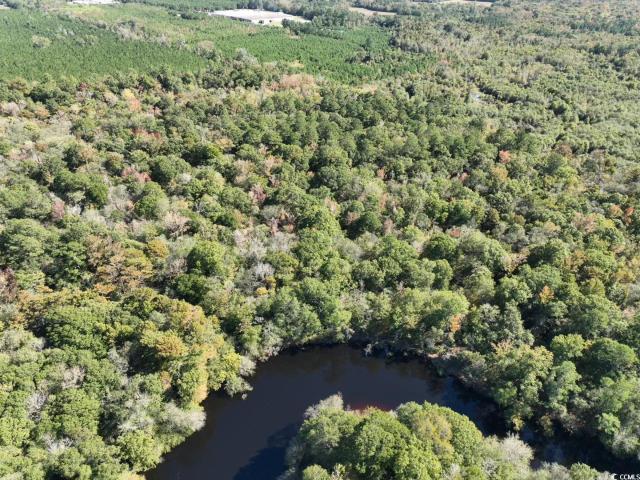 Land for sale in Kingstree, South Carolina