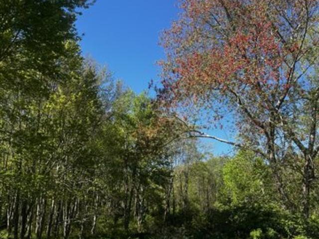 Land for sale in Hebron, Connecticut